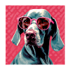 Weimaraner Cool - Weimaraner Dog