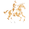 Horse Equestrian