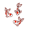 Carp Koi Japan
