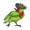 Perroquet Cowboy chapeau de Cowboy