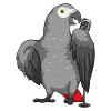 Parrot Singer Microphone Music