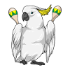 Parrot Musician Rattle Music