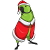 Chapeau de père Noël perroquet