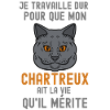 Chat chartreux