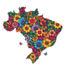 Brasil Flowers