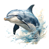 Leaping Dolphin