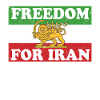 Iranian Lion Flag FREEDOM FOR IRAN Support Women