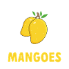 Mango Fruit Mango