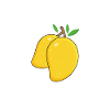 Mango Frucht Mango
