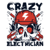 Crazy Electrician Electronics Technician