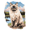 Ragdoll
