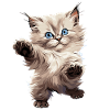 Ragdoll
