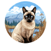 Siamese Cat Siamkatze