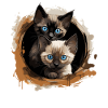 Siamese Cat Siamkatze