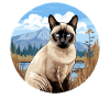 Siamese Cat Siamkatze