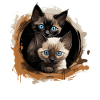 Siamese Cat Siamkatze