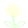 pi flower