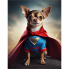 Chihuahua Superhero