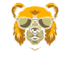 Bear Brown Bear