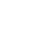 Bear Brown Bear