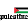 palestine flag