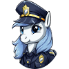 Police Pony