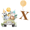Letter x Safari