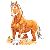 Horse Equestrian Sports