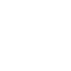 Pferd Reitsport