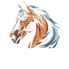 Horse Equestrian Head
