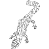 Tribal White Lizard Outlines Black