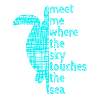 Turtle Schildkröte