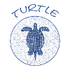 Turtle Schildkröte