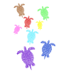 Schildkröten Turtle