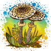 Fungi