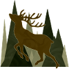 Cerf