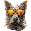 Berger Picard Cool - Berger Picard