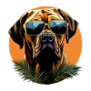 Boerboel Cool - Boerboel Dog