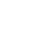 2009