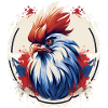Tee shirt coq français