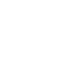Play violin pet dogs