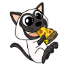 Siamese Cat Cat Pizza