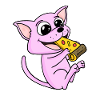 Sphynx Cat Pizza