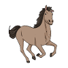 Cheval mignon - Équitation
