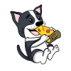 Boston Terrier Dog Pizza