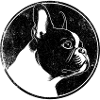 French bulldog, dog lover