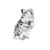 Dessin noir et blanc - Hamster