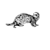 Black and White Drawing - Ferret