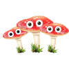 mushroom family,mushrooms, family, fungus,toadstools