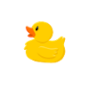 Team - Coin coin